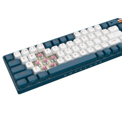 Royalaxe R68 Hot Swappable Mechanical Keyboard - Blue