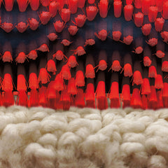 Rug Doctor Walk Behind Deep Carpet Cleaner
