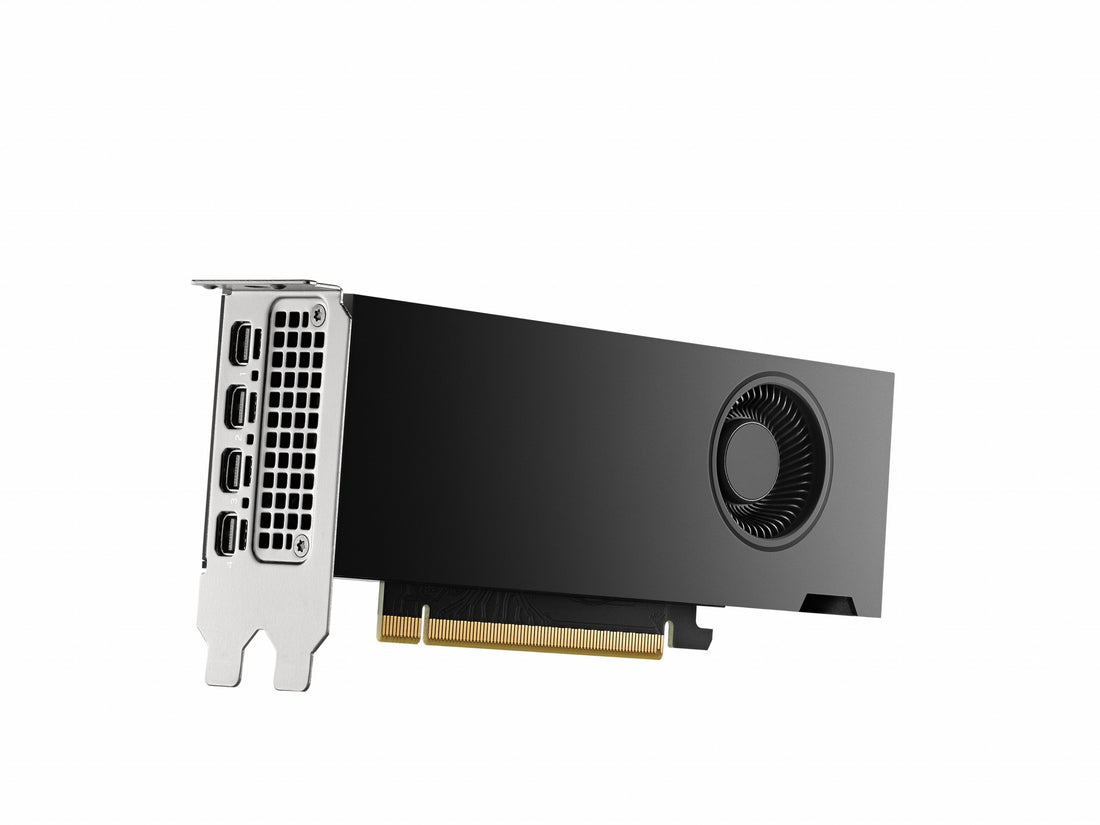 PNY RTX2000 Ada NVIDIA RTX 2000 Ada 16 GB GDDR6 - image 4