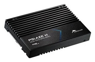 Origin Storage PBlaze6 6531 Series 3.2 TB U.2 PCI Express 4.0 NVMe 3D TLC