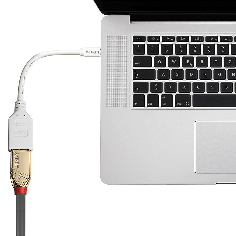 Lindy 0.20m Mini DisplayPort to DisplayPort Adapter Cable