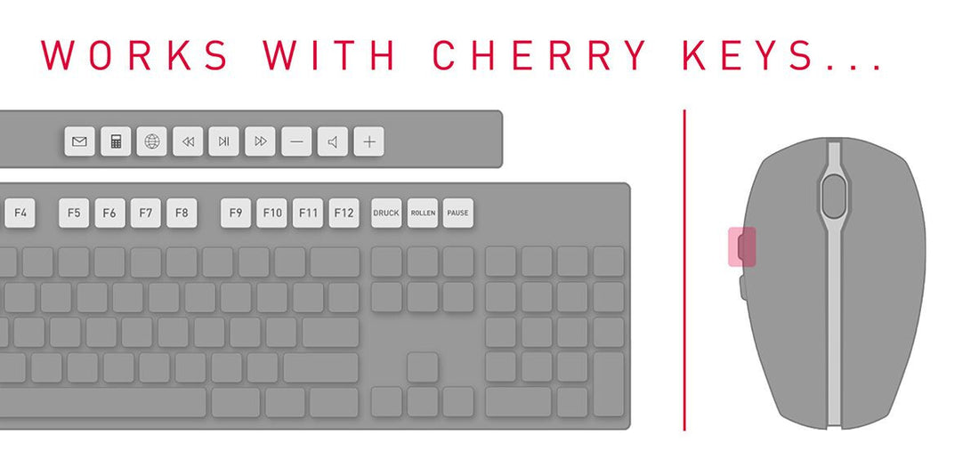 CHERRY DW 5100 keyboard Mouse included Home RF Wireless Czech, Slovakian Black - image 3