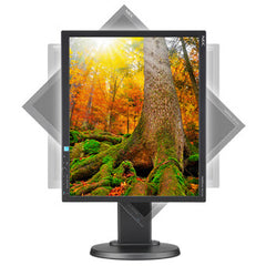 NEC EA193MI-BK computer monitor 48.3 cm (19