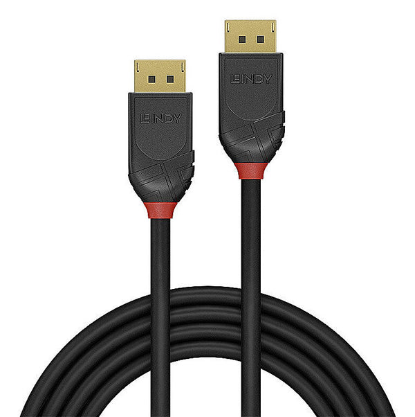 Lindy 36517 DisplayPort cable 2 m Black