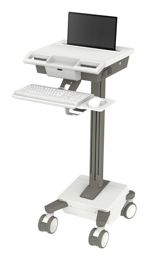 Ergotron M021-0101-100000-1-0 All-in-One PC/workstation mount/stand 19.5 kg White, Grey 17"