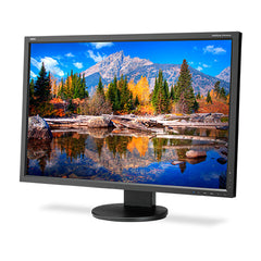 NEC MultiSync EA304WMI-BK computer monitor 76.2 cm (30