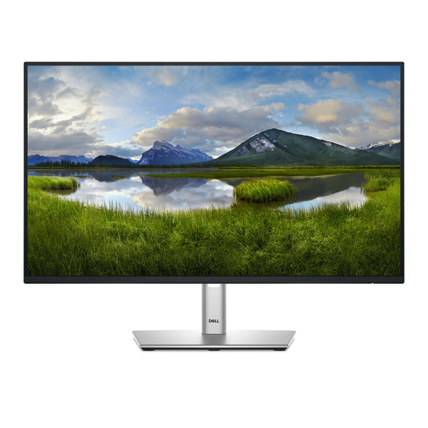 Dell Pro Plus 23.8" Full HD Monitor (P2425HE)