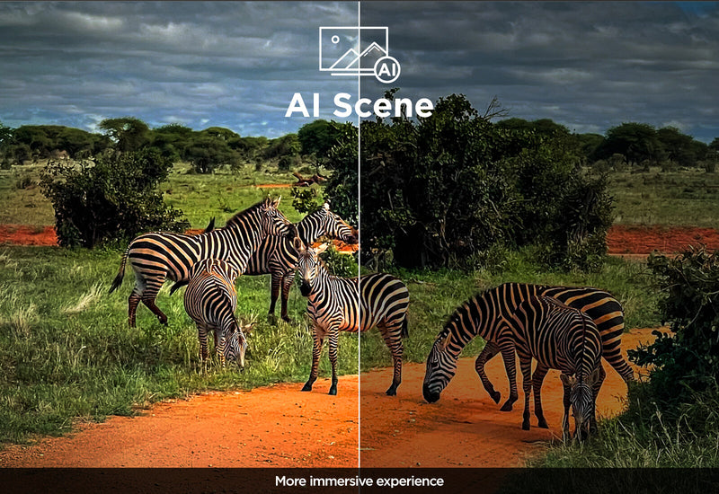 TCL X95 115X955K MAX