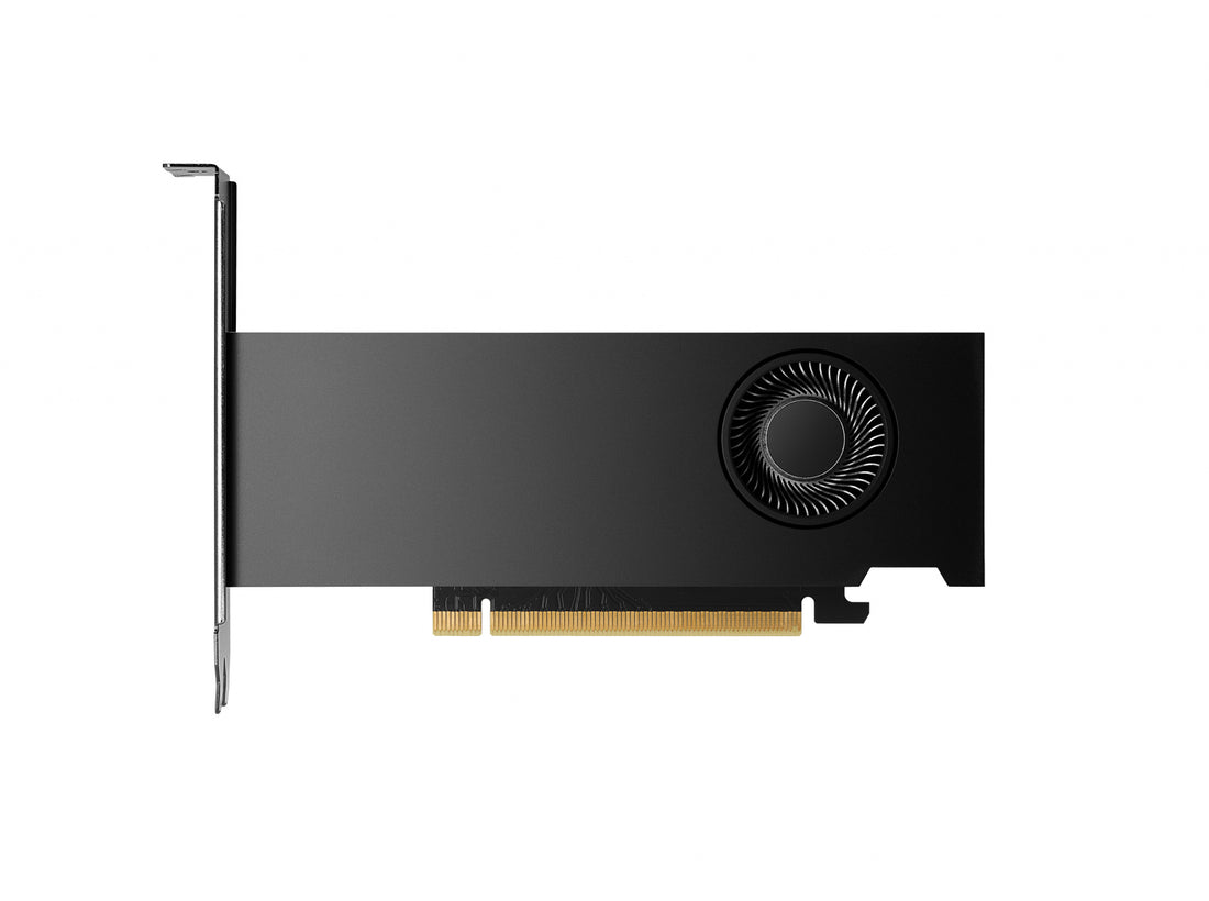 PNY RTX2000 Ada NVIDIA RTX 2000 Ada 16 GB GDDR6 - image 8