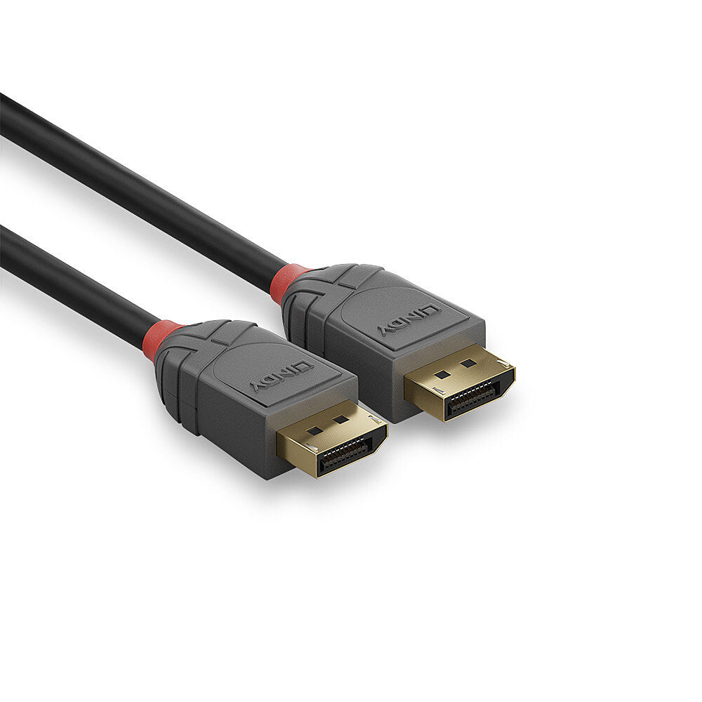 Lindy 0.5m DisplayPort 1.4 Cable, Anthra Line - image 3