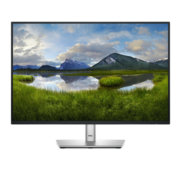 Dell Pro Plus 24.1" WUXGA Monitor (P2425)