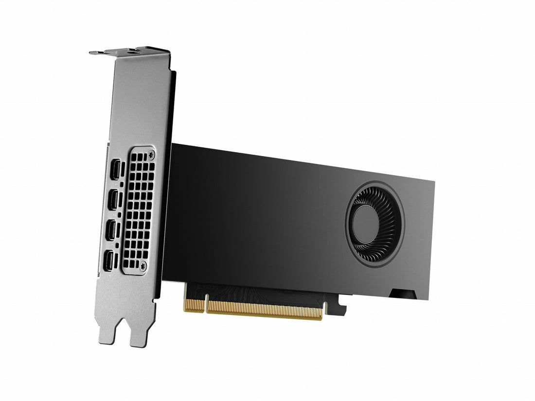 PNY RTX2000 Ada NVIDIA RTX 2000 Ada 16 GB GDDR6 - image 2