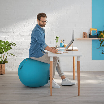 Leitz Ergo Cosy Active Sitting Ball - image 2