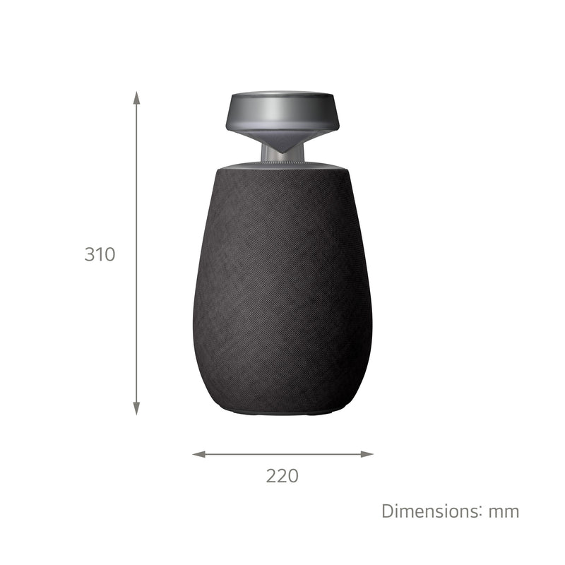 LG XBOOM 360 Mono portable speaker Black 20 W