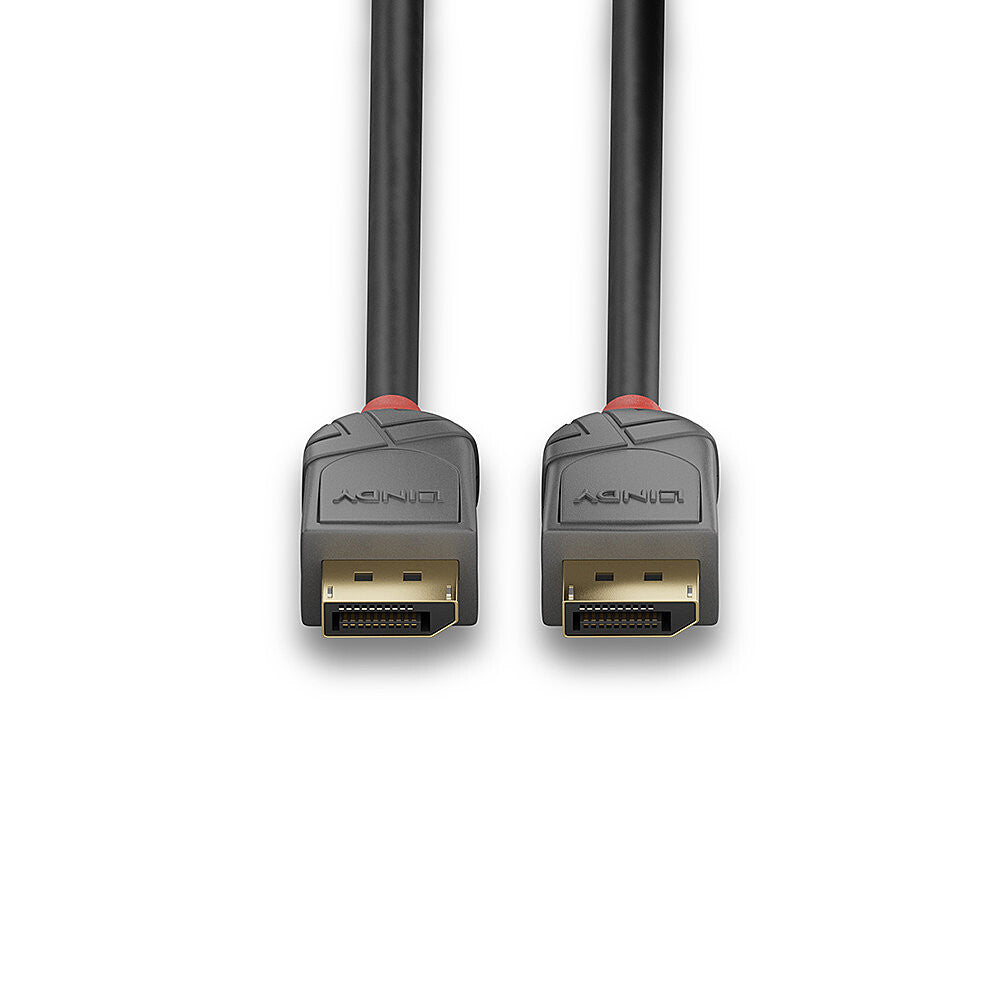 Lindy 0.5m DisplayPort 1.4 Cable, Anthra Line - image 4