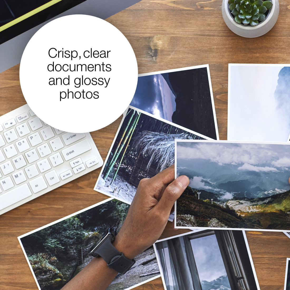 Epson Elephant 24XL Claria Photo HD Single Yellow Ink - image 5