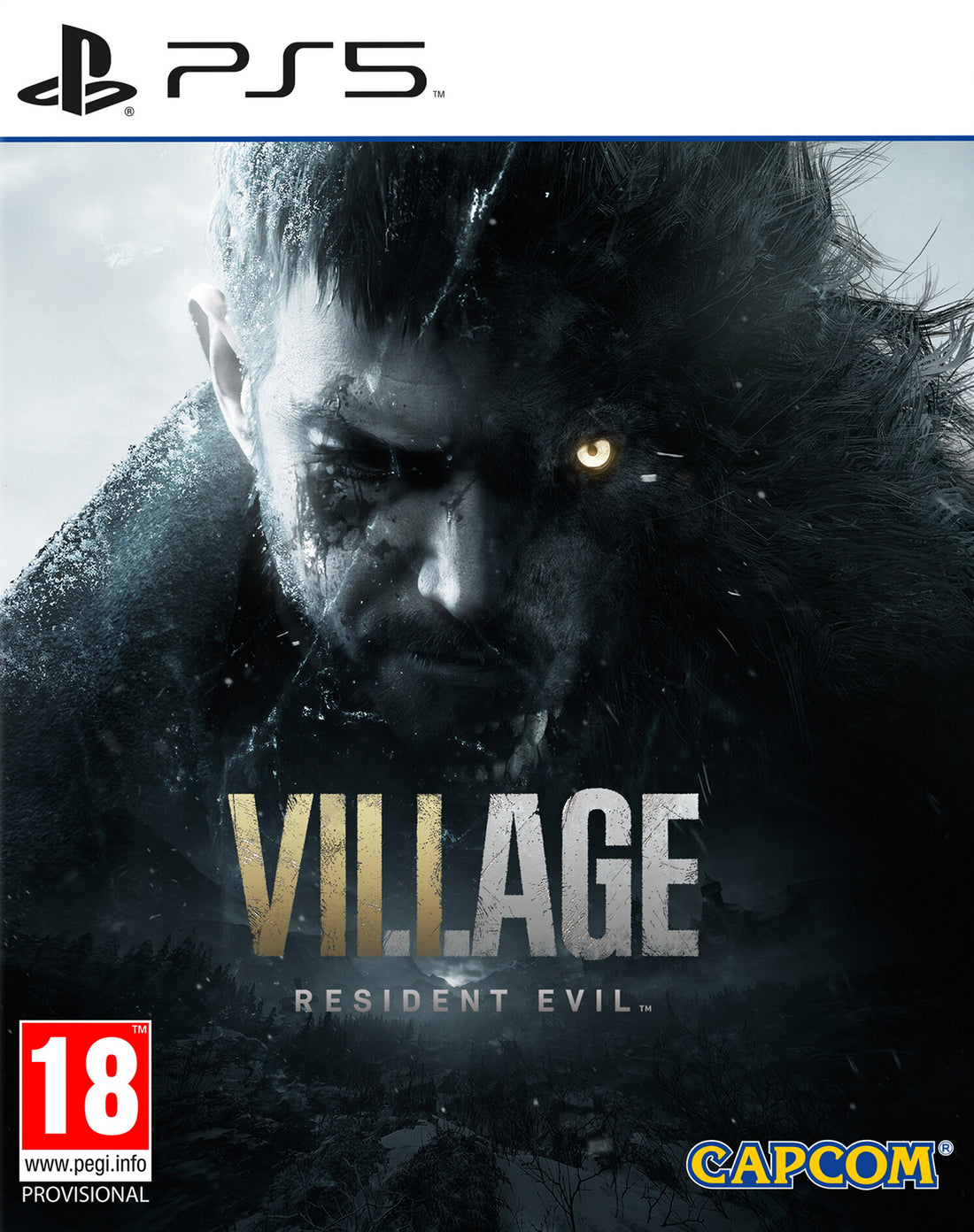 Capcom 126417 not categorized