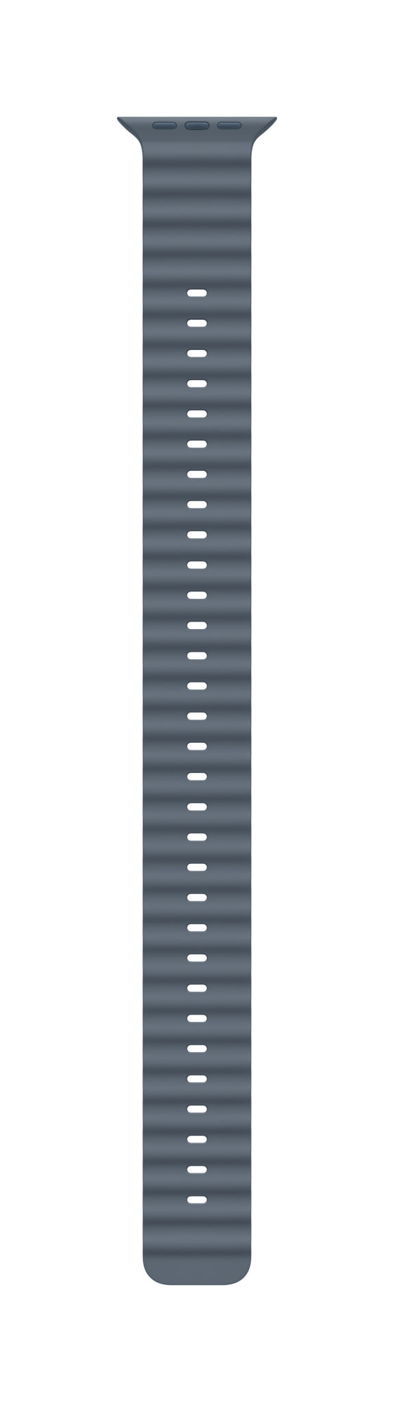 Apple Natural Titanium Finish Band Blue Fluoroelastomer, Titanium