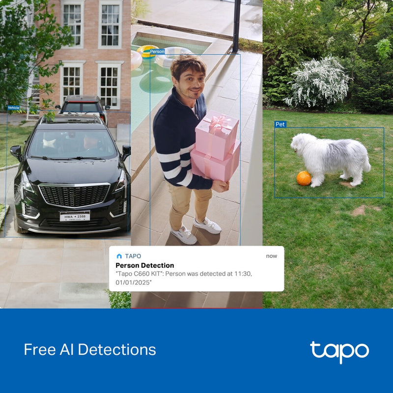 TP-Link Tapo Solar-Powered Pan/Tilt Security Camera Kit