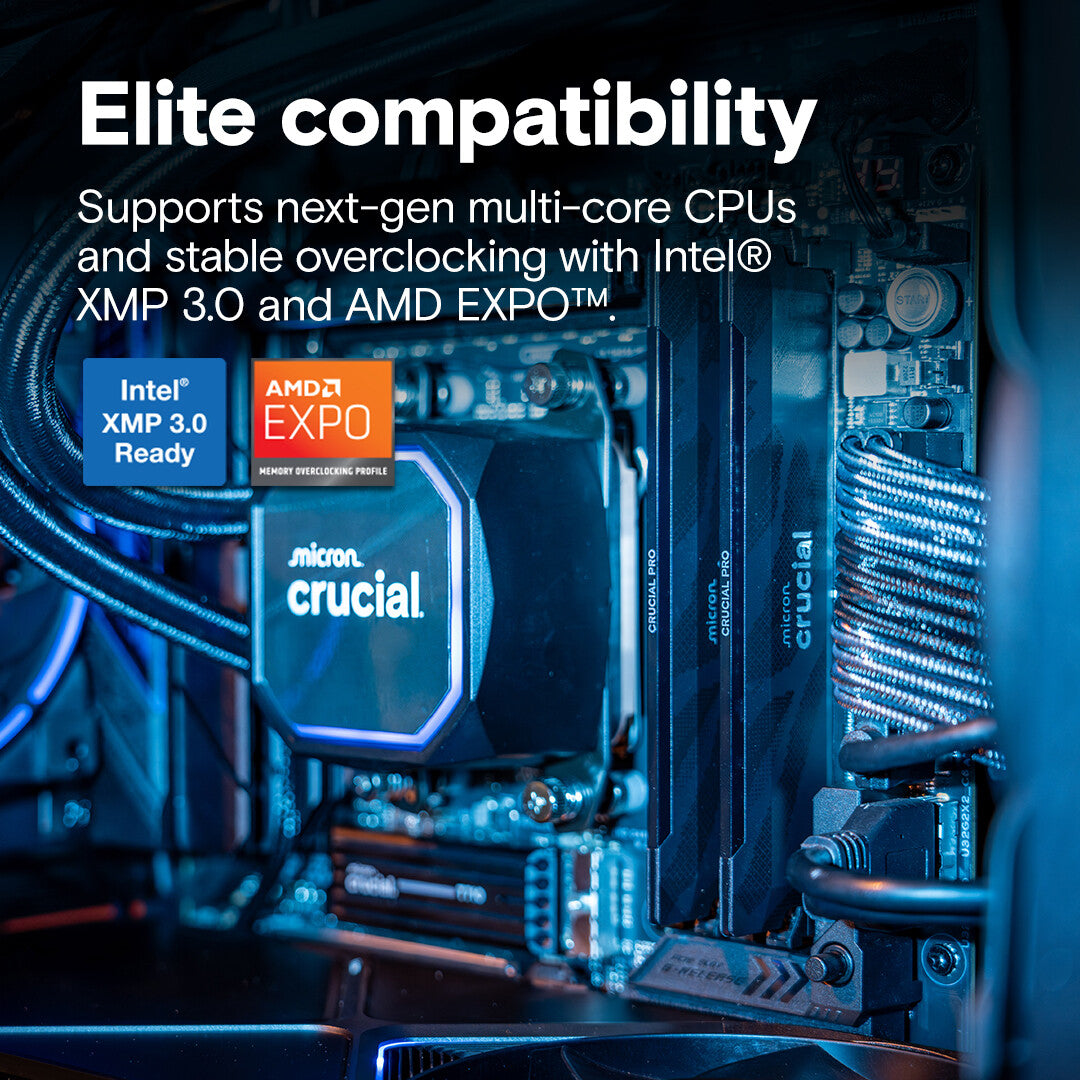 Crucial Pro CP2K16G64C32U5B memory module 32 GB 2 x 16 GB DDR5 6400 MT/s 288-pin DIMM - image 4