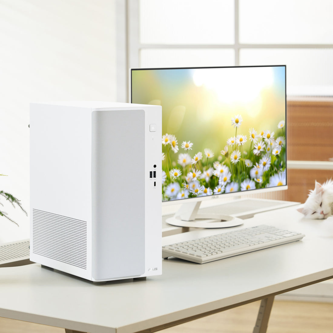 ASUS V500 Mini Tower V501MV-W521H34W Intel Core 5 210H 16 GB DDR5-SDRAM 512 GB SSD Windows 11 Home PC White - image 5