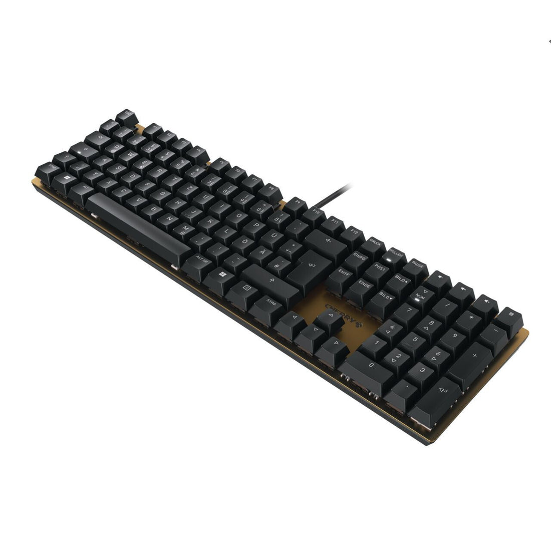 CHERRY KC 200 MX keyboard Universal USB QWERTZ German Black, Bronze - image 2