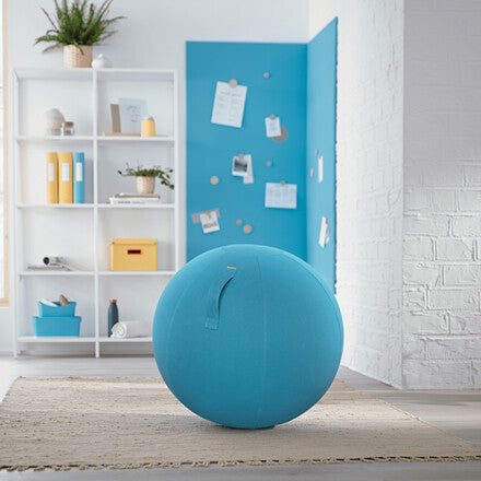 Leitz Ergo Cosy Active Sitting Ball - image 6