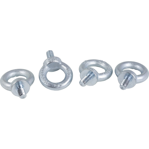 APC "Lifting eyebolts, PanelSeT SFN, PanelSet SF, steel , M12 , set of 4"