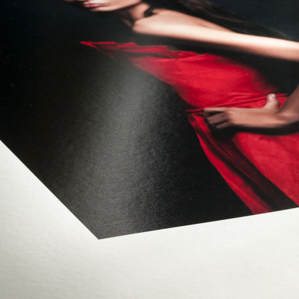 Hahnemühle FineArt Baryta Satin Art paper