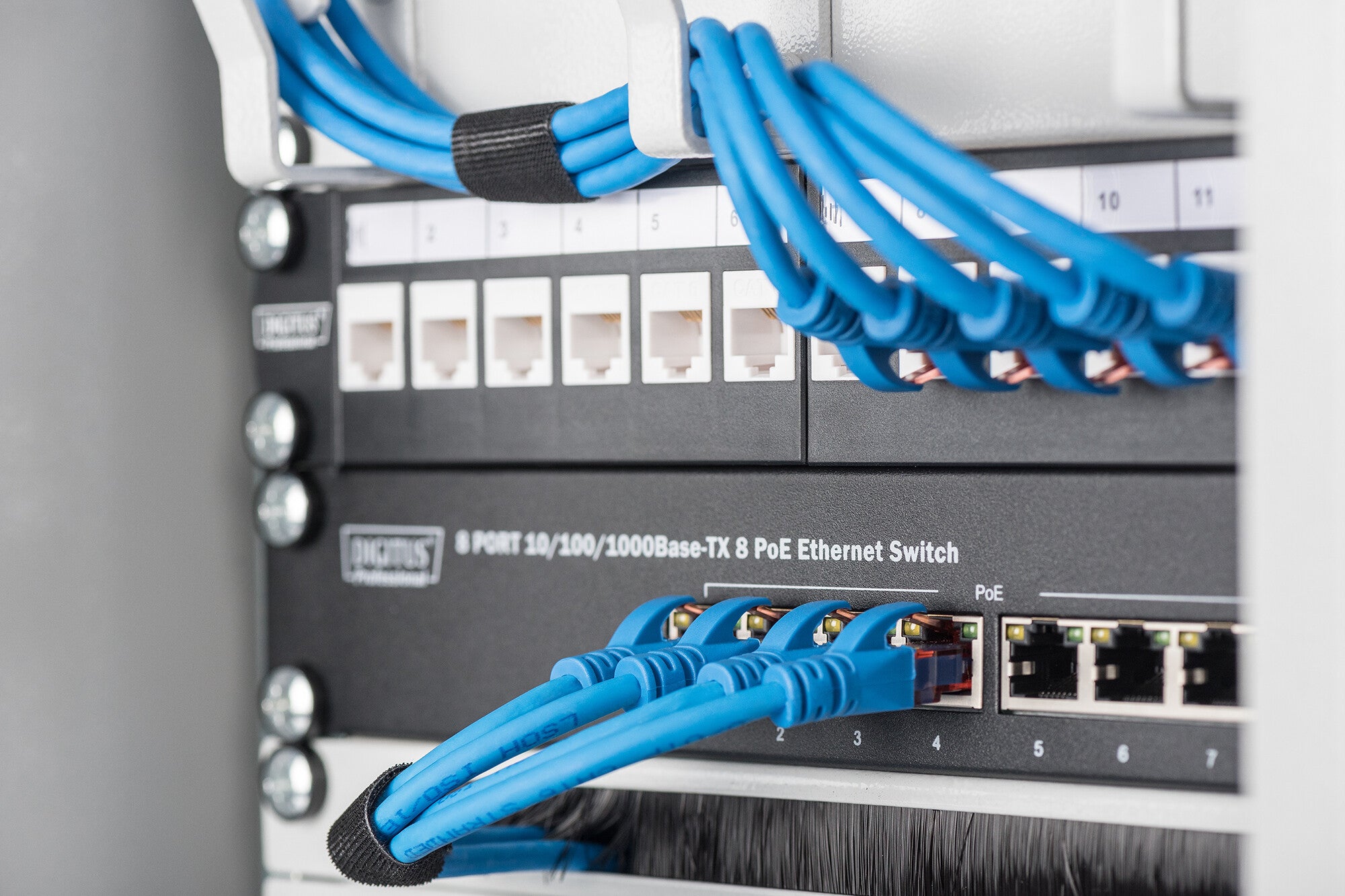 Digitus Modular Patch Panel, 12-port | Back to the Office