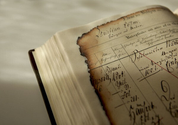 Neschen FILMOPLAST R Transparent, White 50000 x 620 mm