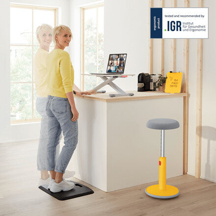 Leitz Ergo Cosy Standing Desk Converter