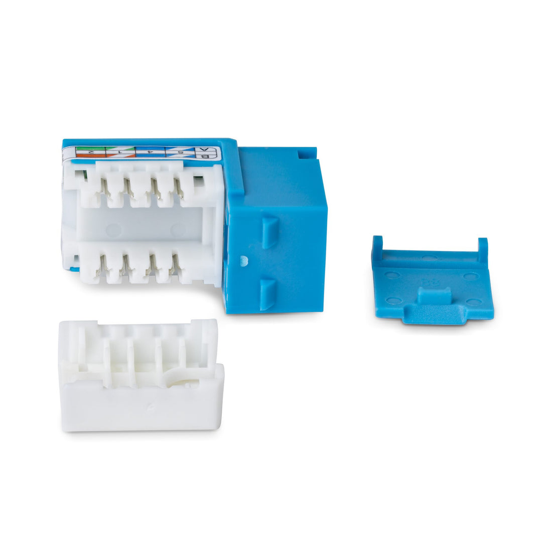 StarTech.com Cat6 Keystone Jack, 24-Pack RJ45 Ethernet Keystone Jacks, UTP Cat6 Wall Jack, 90-Degree 110 Punch - image 3