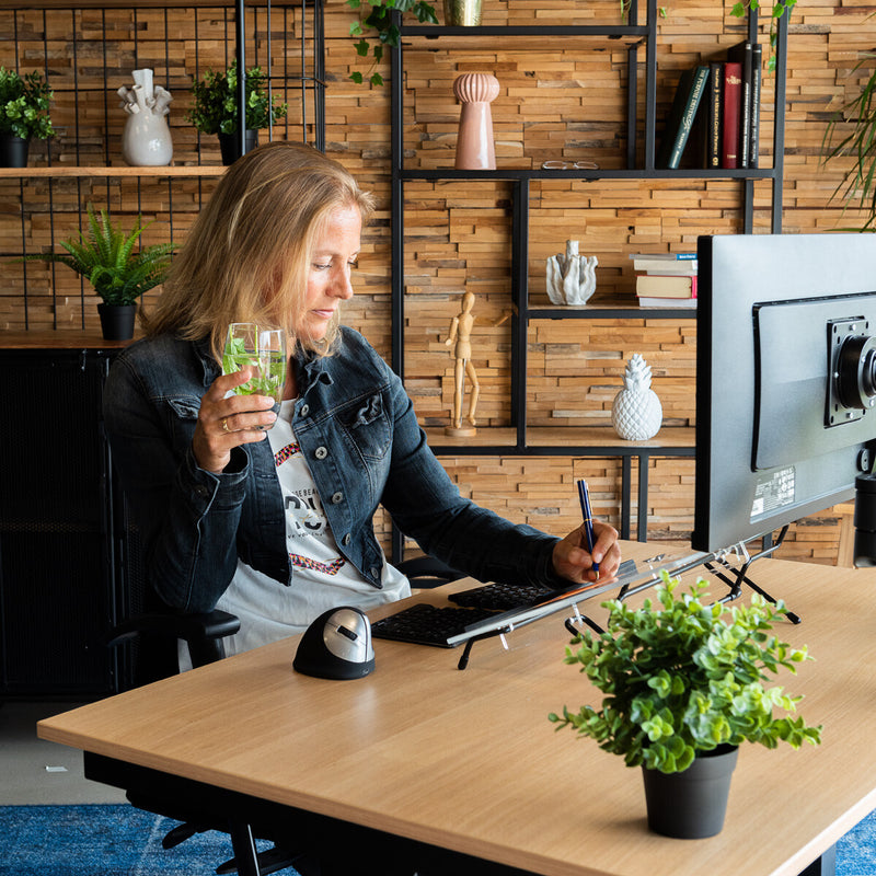 R-Go Tools Document holder R-Go Flex Read, ergonomic, with soft foam wrist rest, transparent acrylic