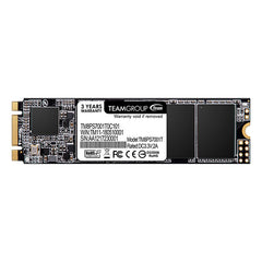 Team Group MS30 1 TB M.2 Serial ATA III