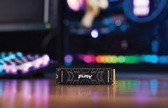 Kingston Technology 2000G FURY RENEGADE M.2 2280 NVMe SSD