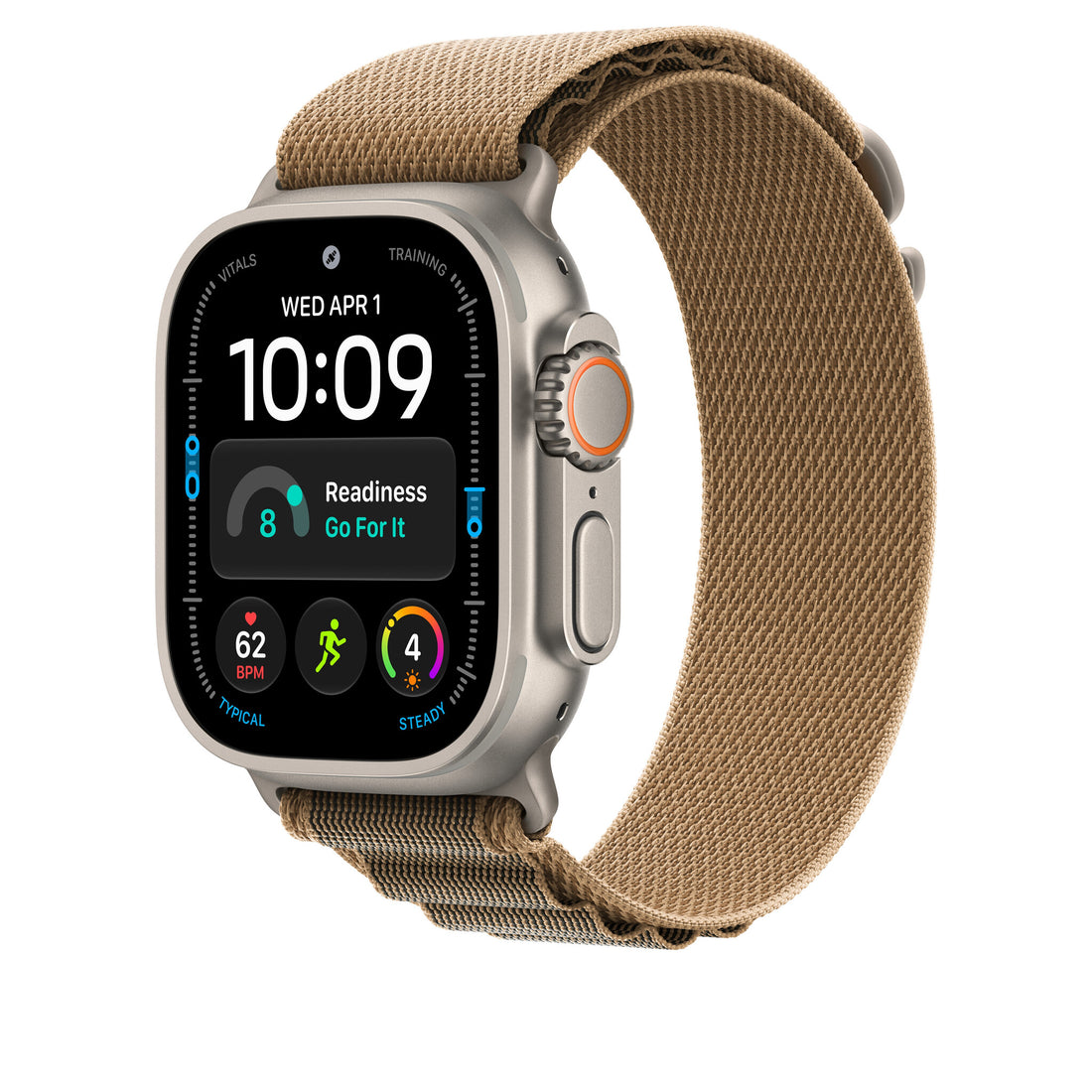 Apple 49mm Desert Alpine Loop - Large - Natural Titanium Finish - image 2