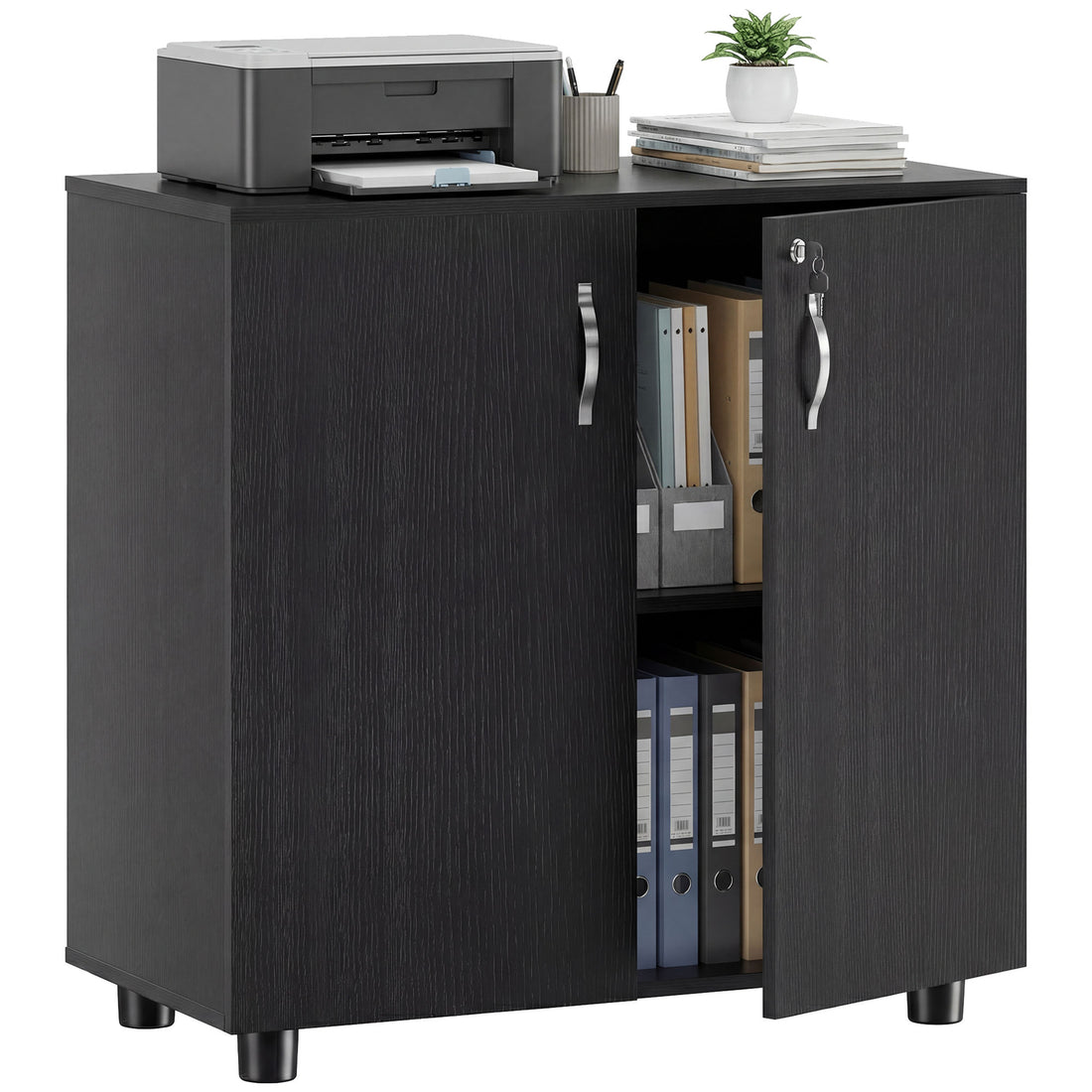 Vinsetto Two-Tier Locking Office Storage Cabinet - Black