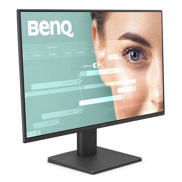 BenQ GW2491 23.8" Full HD LED Monitor