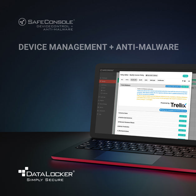 DataLocker SafeConsole On-Premise Basic Device Management with AntiMal ...