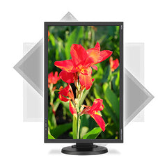 NEC MultiSync E245WMI-BK computer monitor 61 cm (24