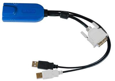 Raritan Digital DVI-D, USB CIM KVM cable Multicolour, Black 0.3 m