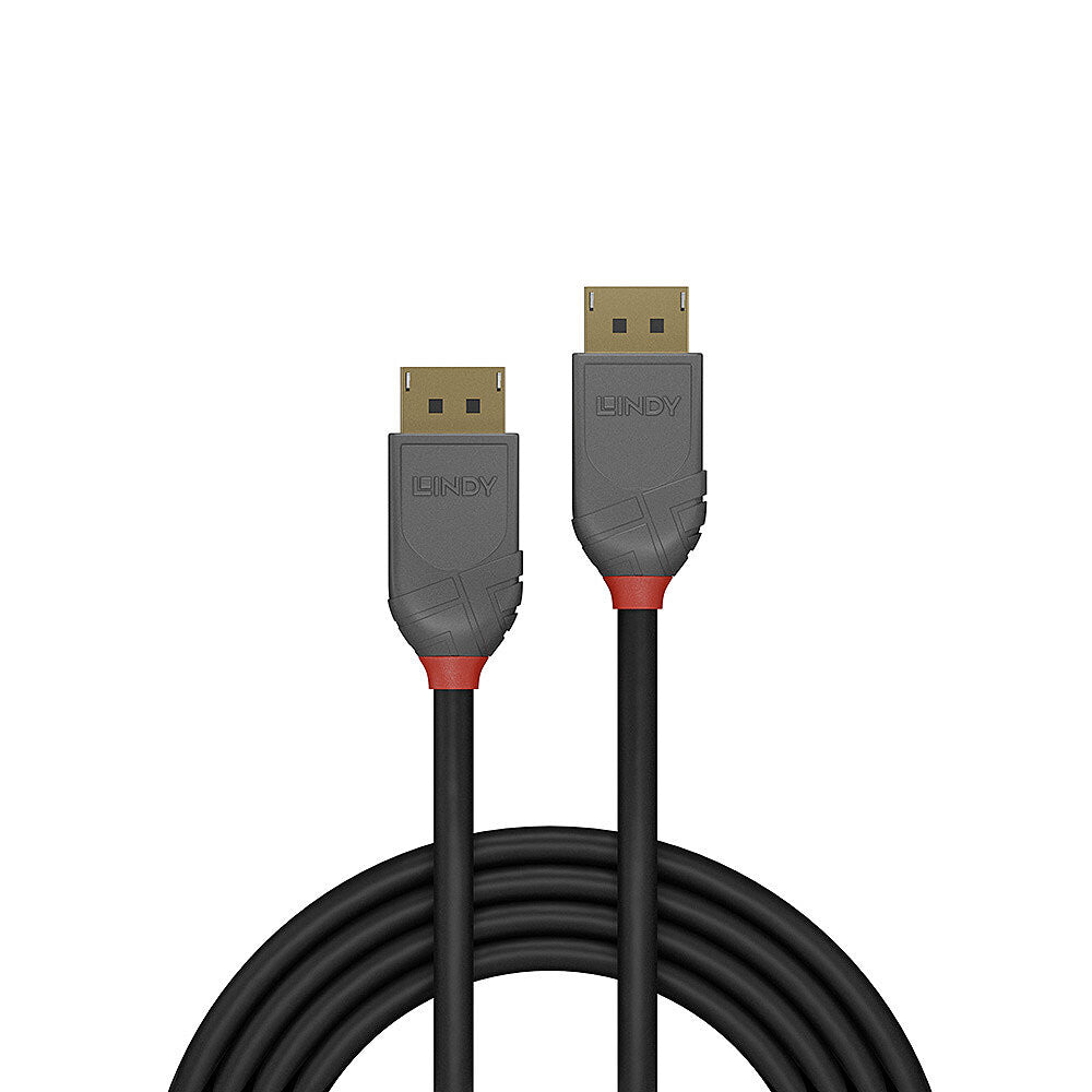 Lindy 0.5m DisplayPort 1.4 Cable, Anthra Line - image 2