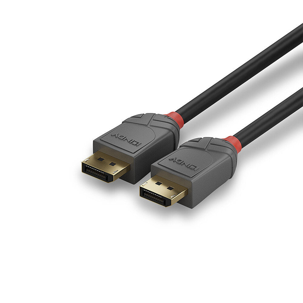 Lindy 0.5m DisplayPort 1.4 Cable, Anthra Line - image 5