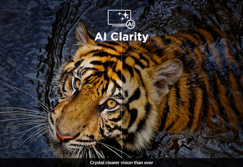 TCL X95 115X955K MAX