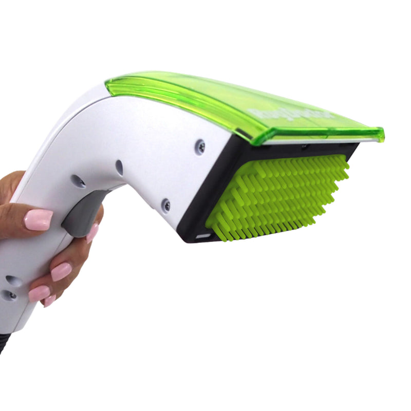 Rug Doctor Pet Portable Spot Cleaner