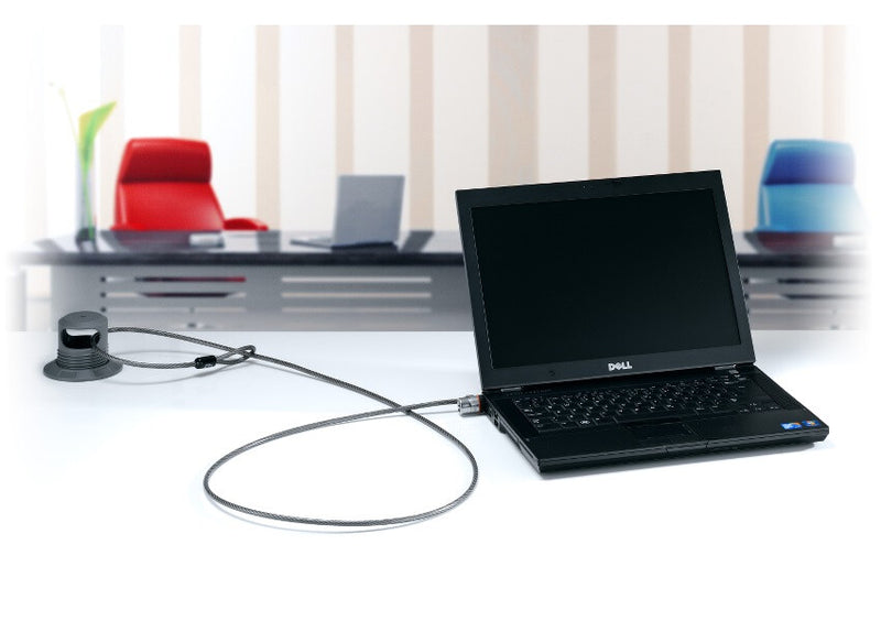 Kensington MicroSaver® Laptop Lock Bulk Pack - Master Keyed (25)