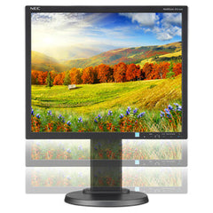 NEC EA193MI-BK computer monitor 48.3 cm (19