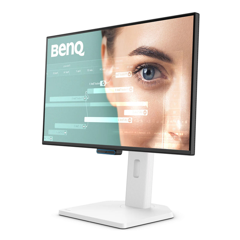 BenQ GW2490TC 24" Full HD LED Monitor
