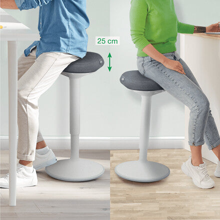 Leitz Ergo Active Standing Stool with Comfort Seat